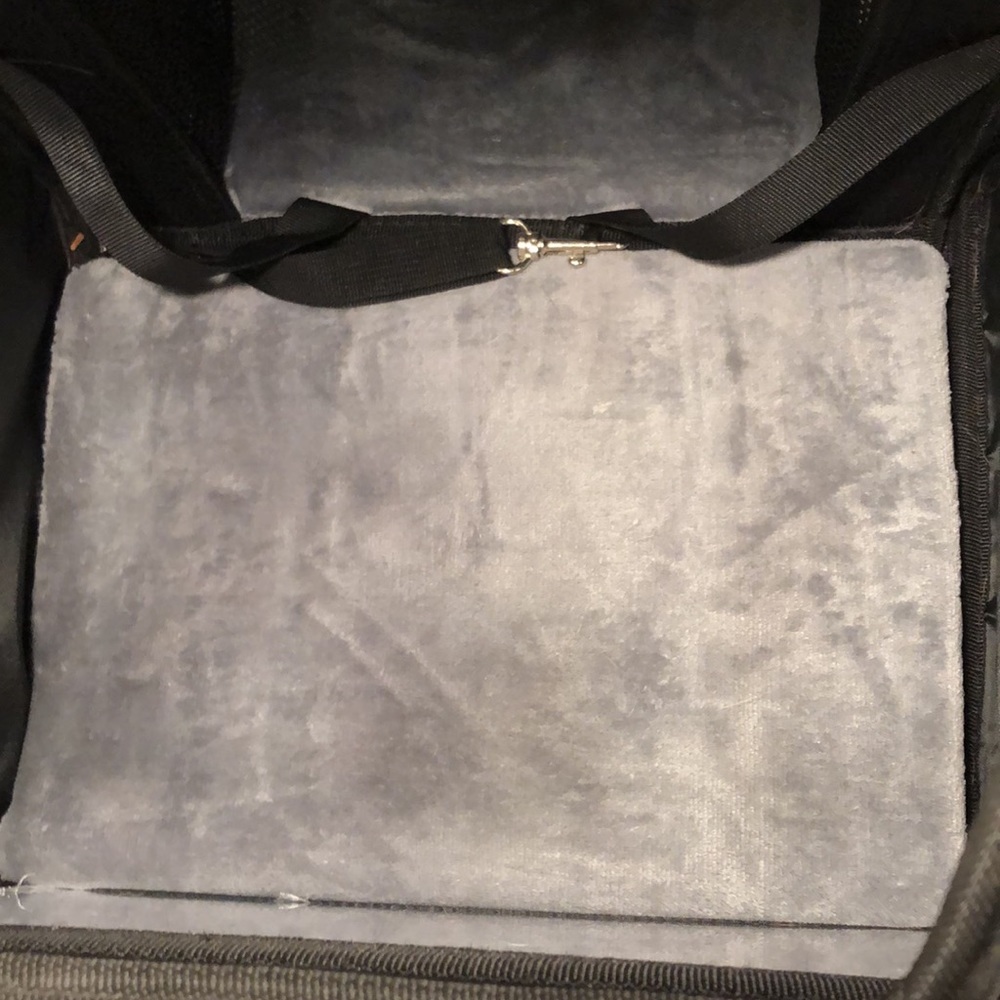 Pecute Cat π Backpack π - Picture 7 of 11